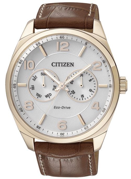 Reloj Citizen Metropolitan Elegante AO9024-16A