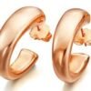 Pendientes Lecarré Desir D´or LB007RS.00