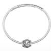 Charms Chamilia Milestone (15) 2010-3317