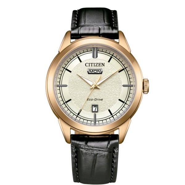 CITIZEN AW0153-04A Reloj Citizen de hombre AW0153-04A